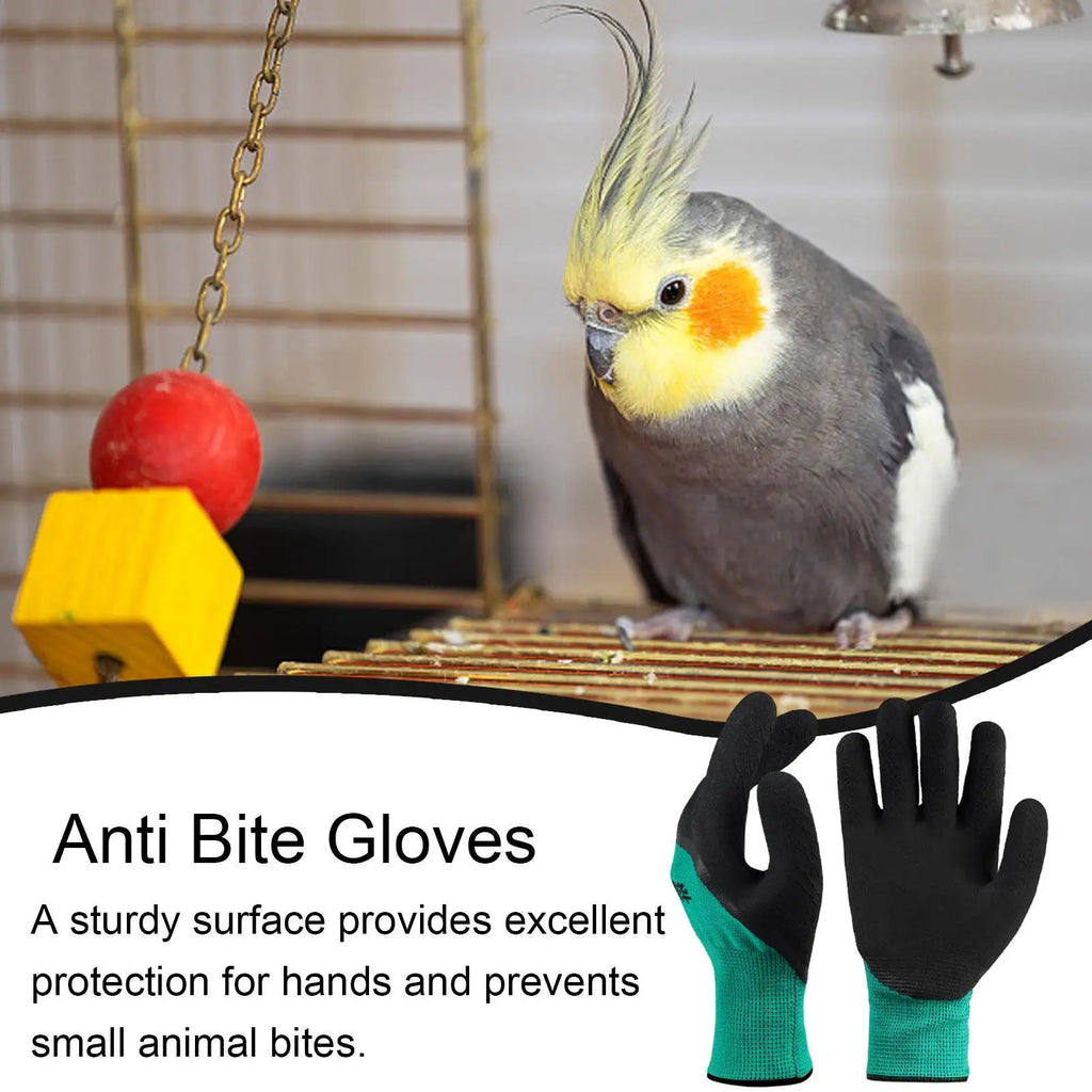 Anti-Bite Pet Handling Mittens – PVC Protective Gloves Pet Handling Gloves Axl