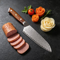 67-Layer VG10 Damascus Santoku Knife – Sharp Kitchen Blade Damascus Kitchen Knife Axl Santoku Knife