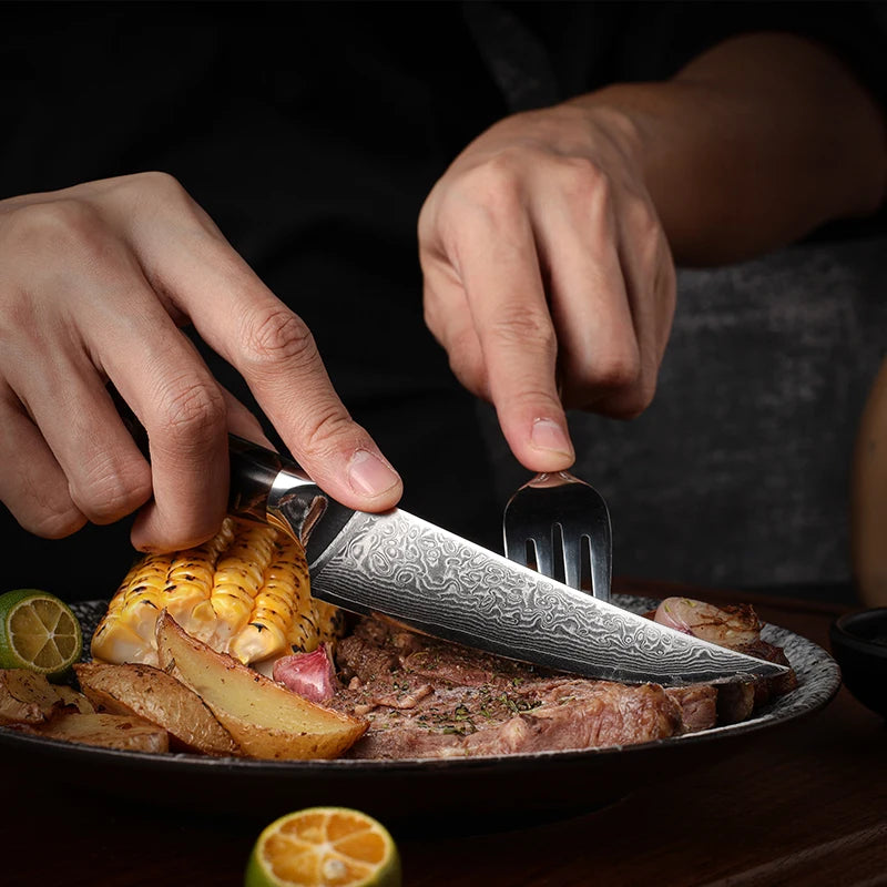Grandsharp 5" Damascus Steel Steak Knife – 67-Layer Blade Damascus Kitchen Knife Axl