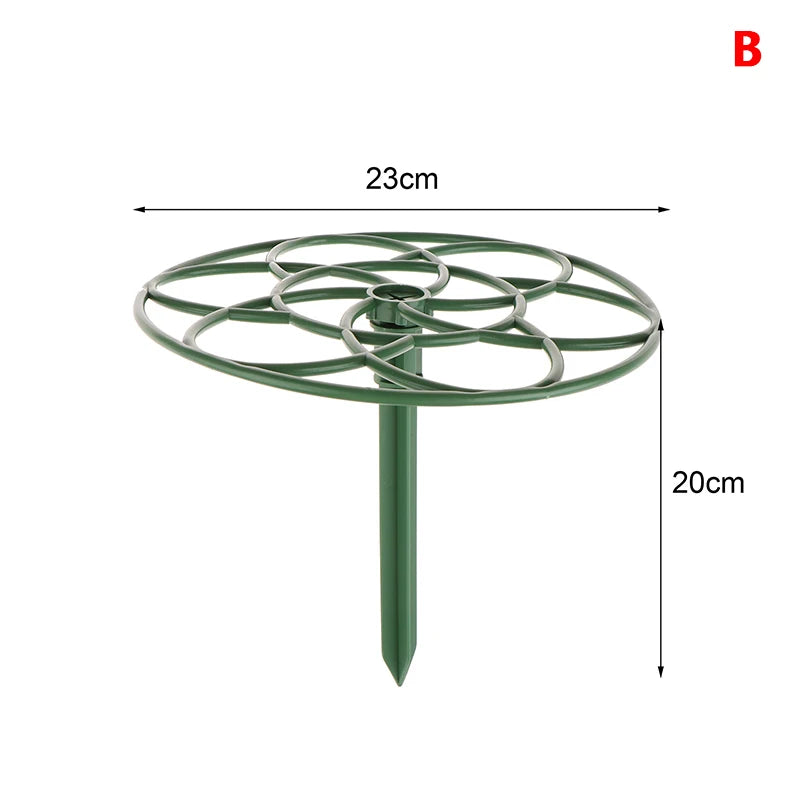 Stackable Plant Climbing Frame – Bonsai & Vine Support Cage Plant Support Frame Axl B