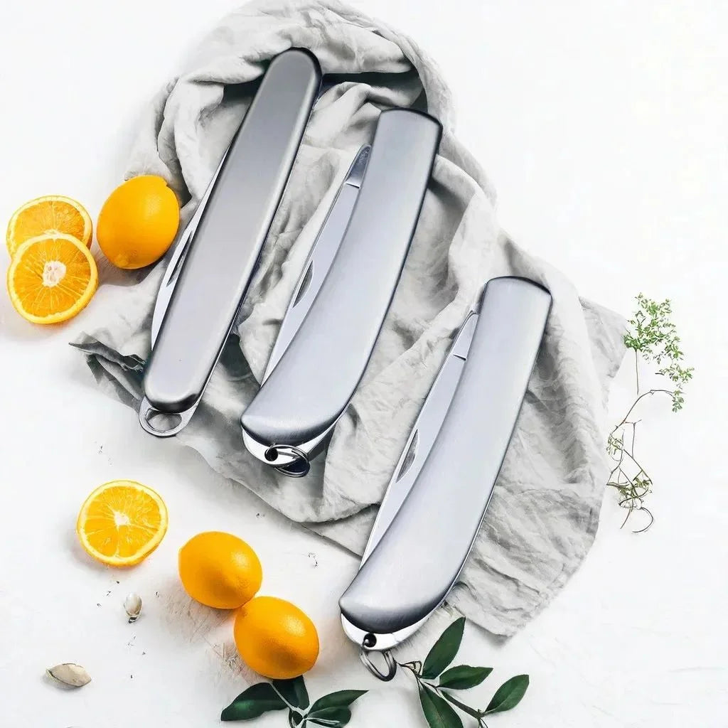 Stainless Steel Mini Pocket Fruit Knife – Camping & Kitchen Pocket Knife Axl