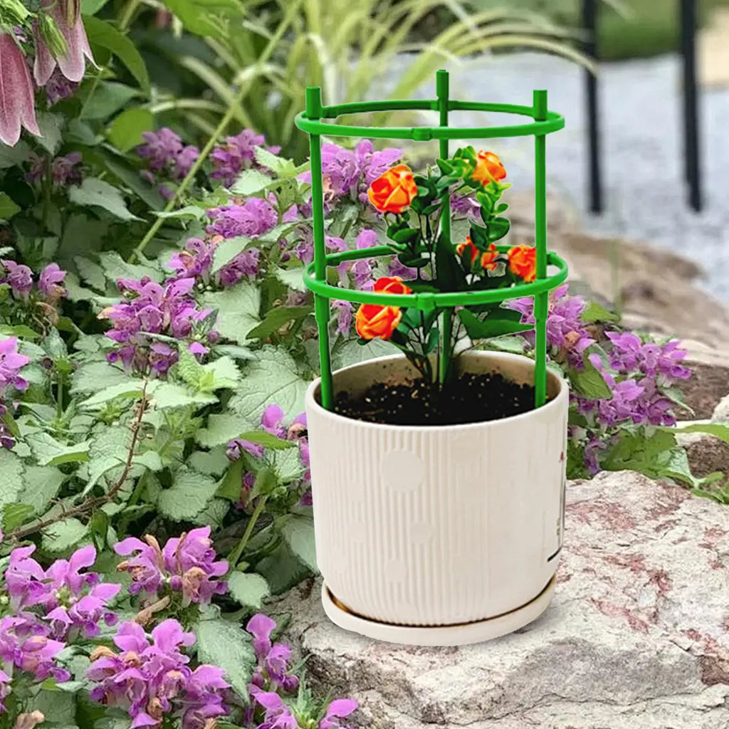 Semicircle Plant Support Cage for Tomato, Vine & Flowers Plant Support Cage Axl