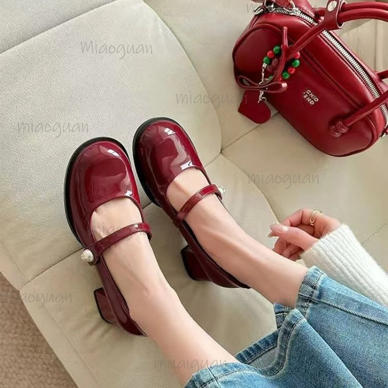 Women's Vintage Mary Jane Block Heel Pumps | Buckle Strap Block Heel Pumps Axl