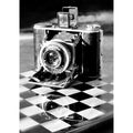 Black & White Vintage Floral HD Canvas Wall Art Print Canvas Wall Art Axl Black1 15X20cmFrameless