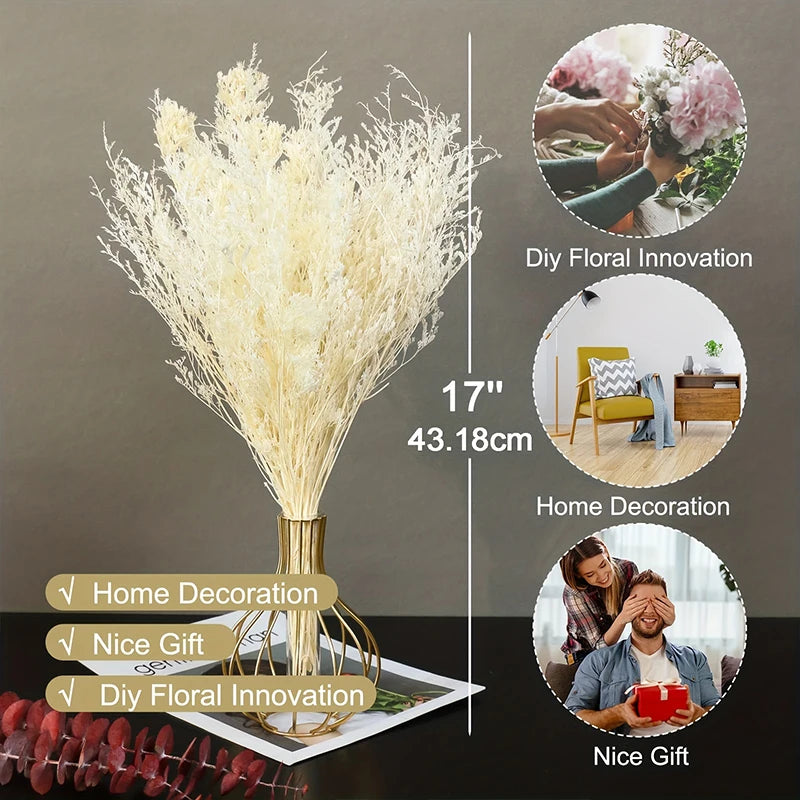 70g Dried Limonium Bouquet – Rustic Wedding & Home Décor Gift Dried Flower Bouquet Axl