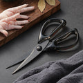 Kitchen Scissors Transparent Handle – Meat & Vegetable Shears Kitchen Scissors Axl 1pcs-C