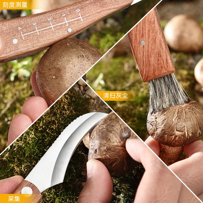 Mini Folding Mushroom Foraging Knife – Rosewood Handle & Brush Folding Foraging Knife Axl