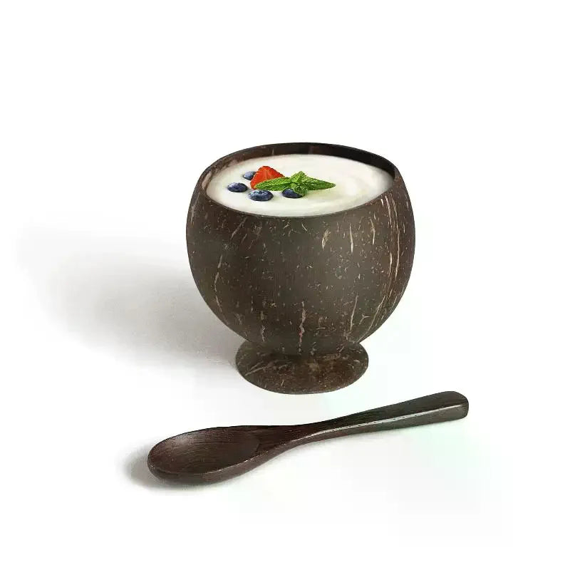 Handcrafted Natural Coconut Shell Stemmed Bowl | Eco Tableware Coconut Shell Bowl Axl