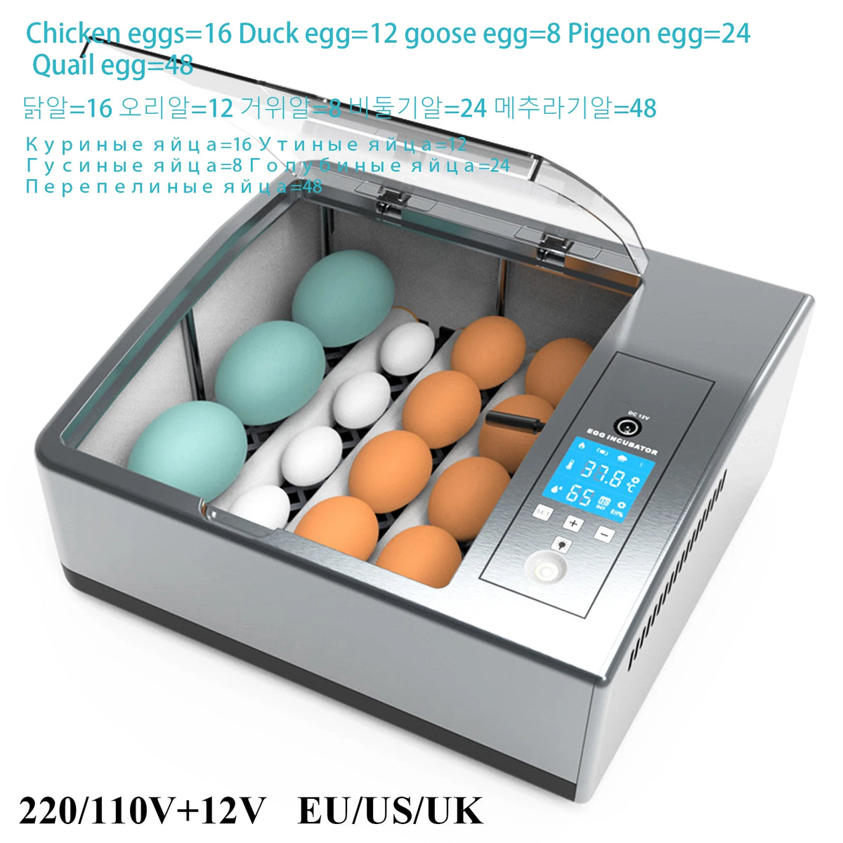 Automatic 16-Egg Incubator – Auto Turner & Poultry Hatcher Egg Incubator Axl