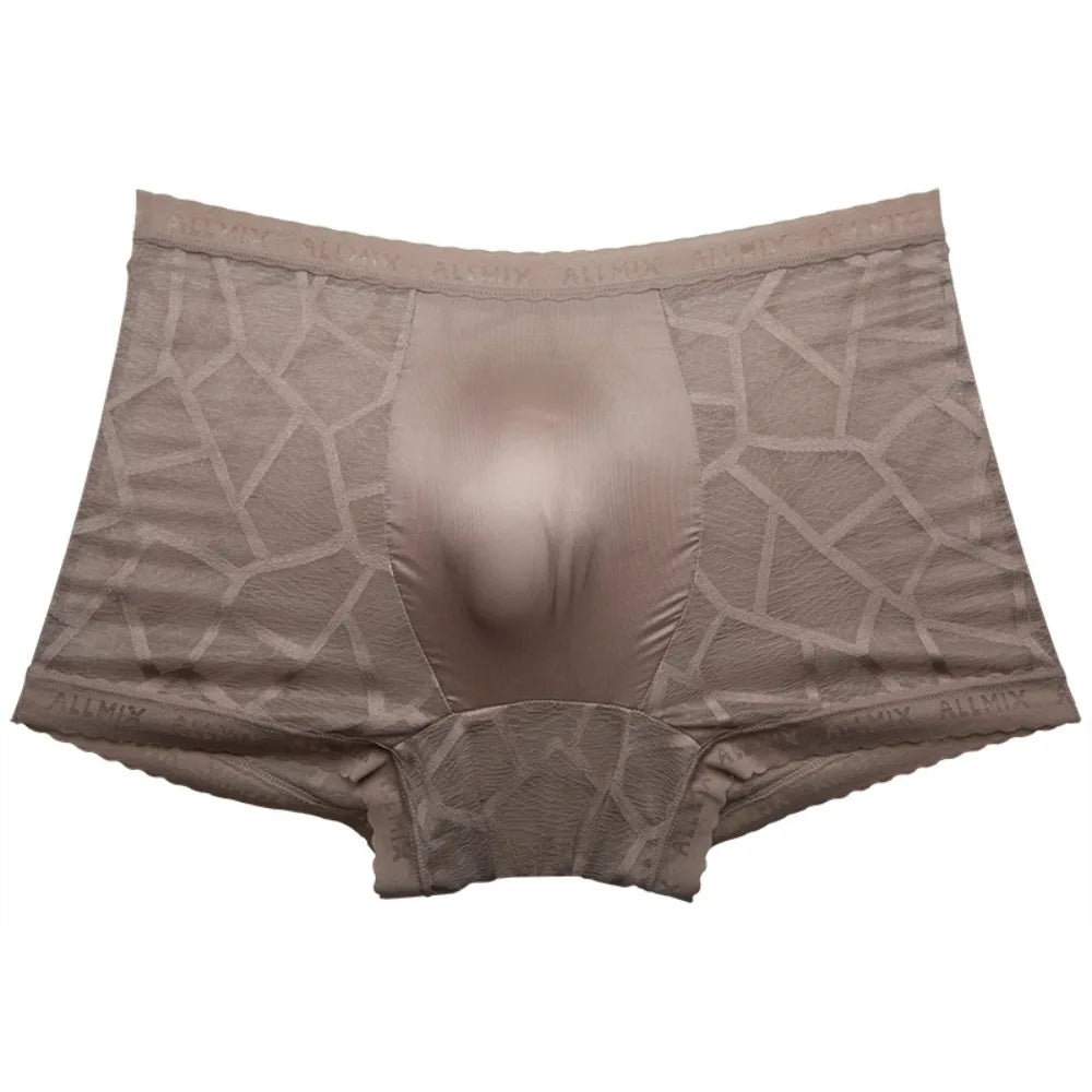 Men's Ice Silk Boxer Briefs – Mesh Quick-Dry Underwear Men's Boxer Briefs Axl Coffee-XXL