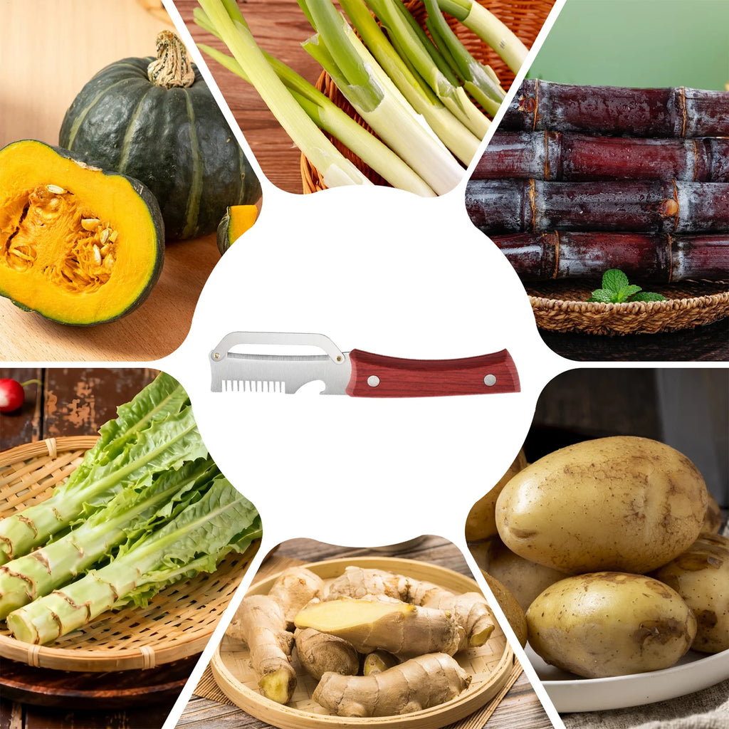 Stainless Steel Vegetable Peeler & Scallion Cutter – 2-in-1 Vegetable Peeler Axl
