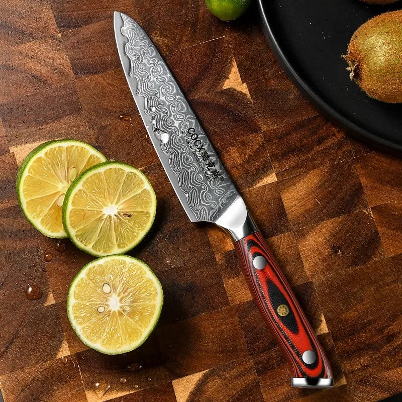Damascus Steel Japanese Chef's Knife – 14cm Utility Kitchen Knife Damascus Chef's Knife Axl