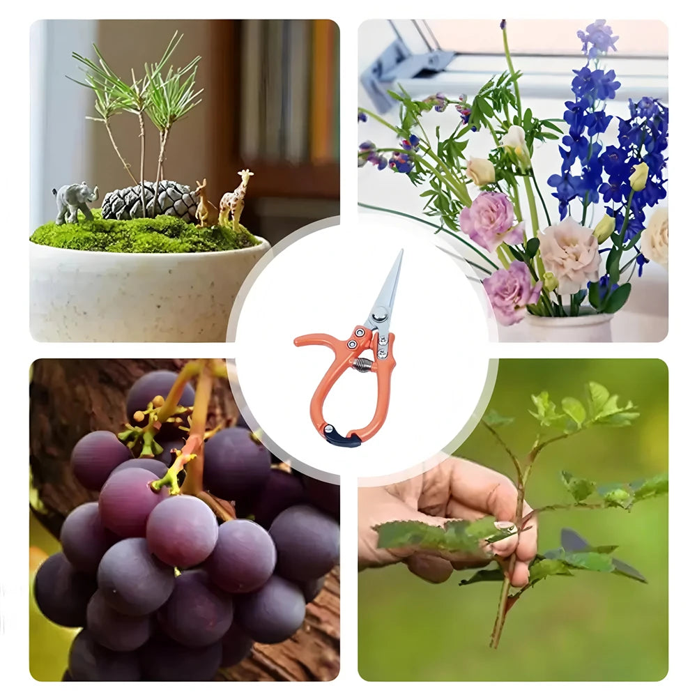 Stainless Steel Garden Scissors – Pruning & Bonsai Shears Pruning Shears Axl
