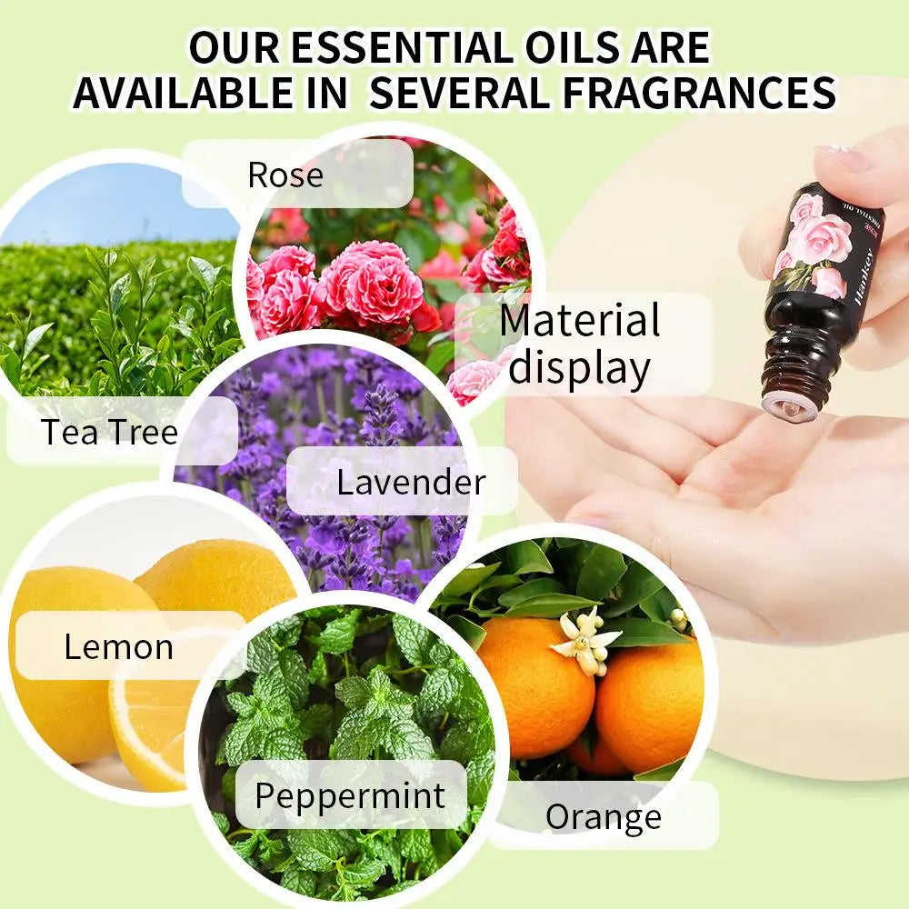 10ml Plant Fragrance Oil for Diffuser, DIY Candle & Soap Fragrance Essential Oil Axl