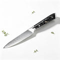 5-Inch VG10 Damascus Steel Paring Knife – Fruit & Veg Damascus Paring Knife Axl 1PCS