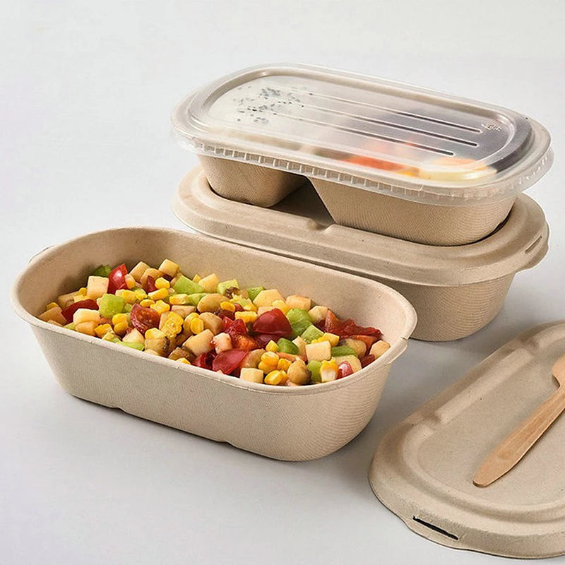 Biodegradable Sugarcane Lunch Boxes | 10/50 Pack, 4 Sizes Disposable Food Containers Axl