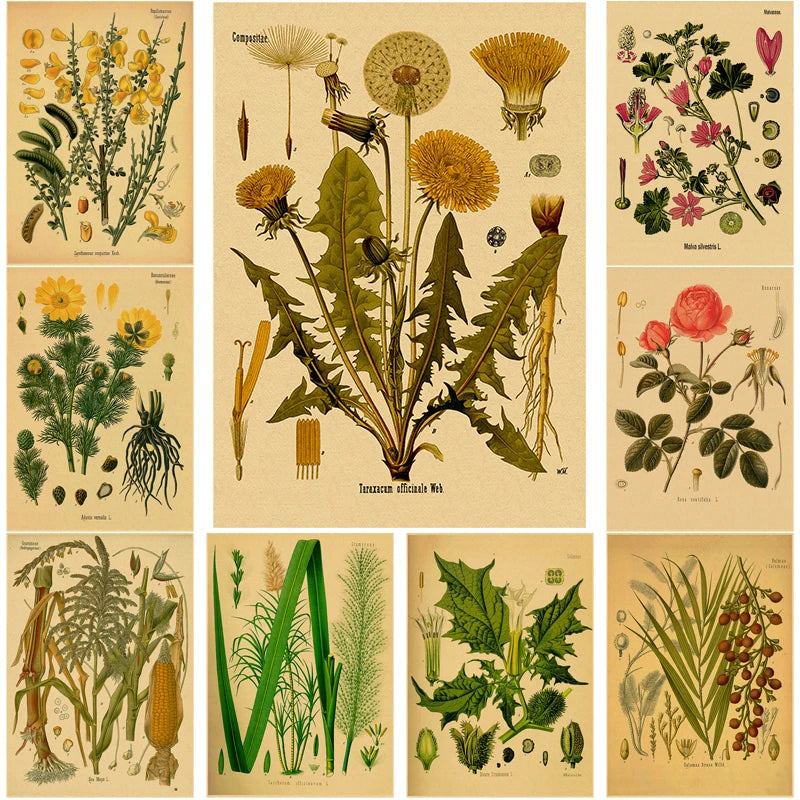 Botanical Medicinal Plants Vintage Kraft Paper Poster | Wall Art Wall Art Poster Axl