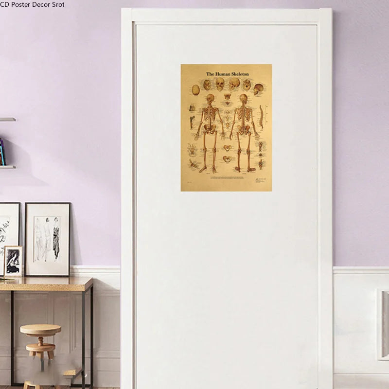 Retro Human Body Anatomy Poster | Kraft Paper Wall Art Anatomy Wall Poster Axl