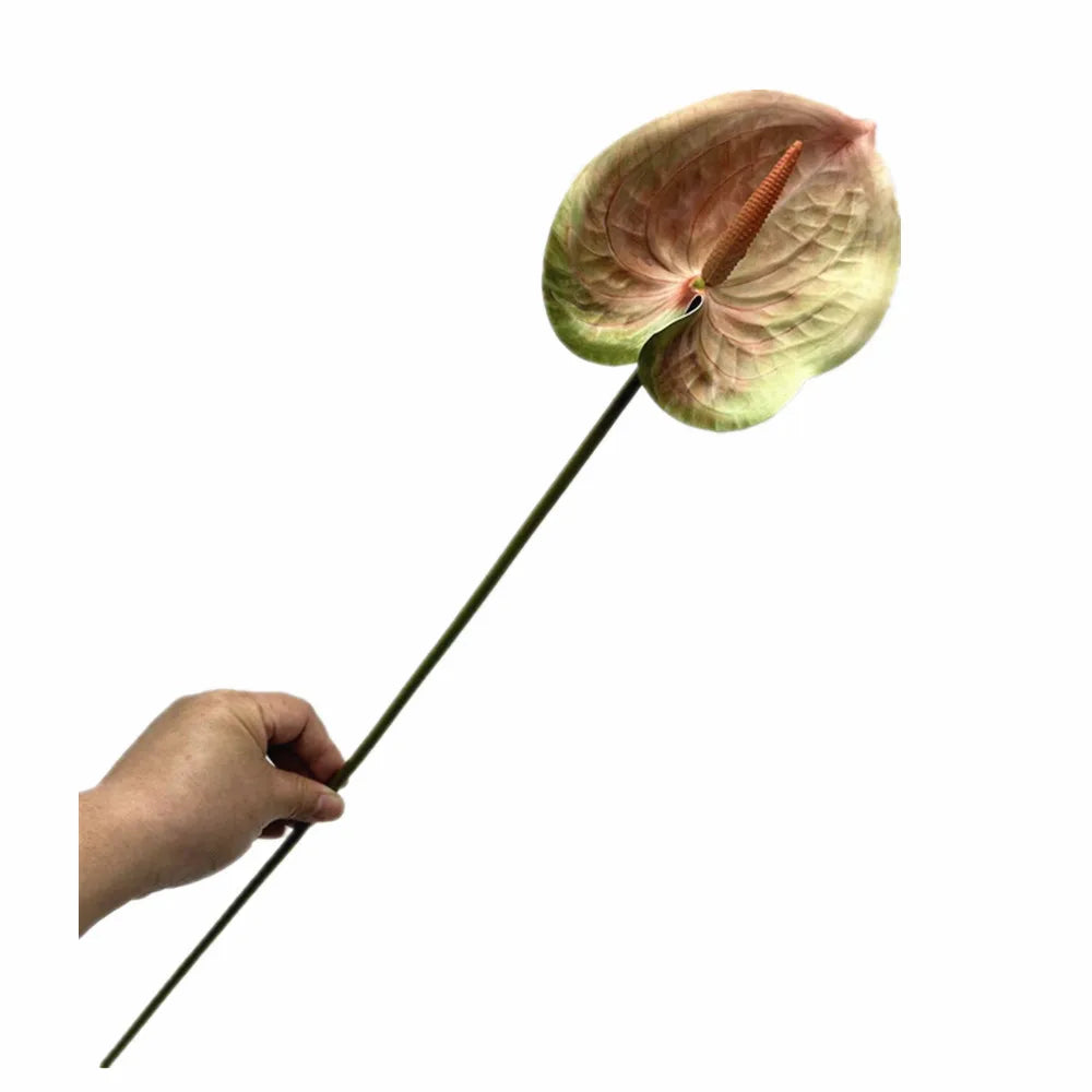 Real Touch PU Anthurium Artificial Flower Branch 61cm Stem Artificial Flower Branch Axl Champagne
