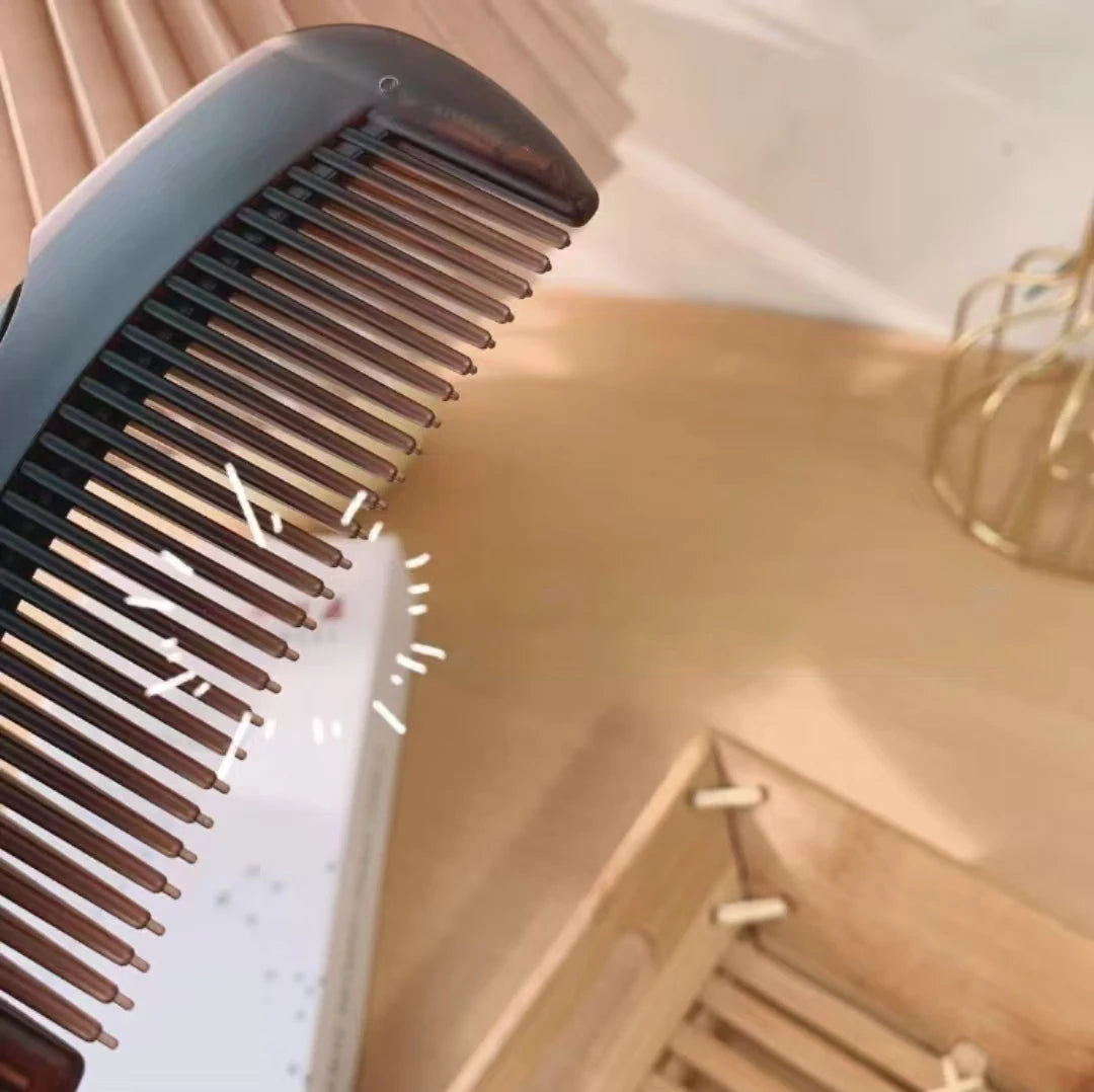 Telescopic & Hollow Hair Comb Set – Self-Cleaning 2-Piece Hair Comb Set Axl