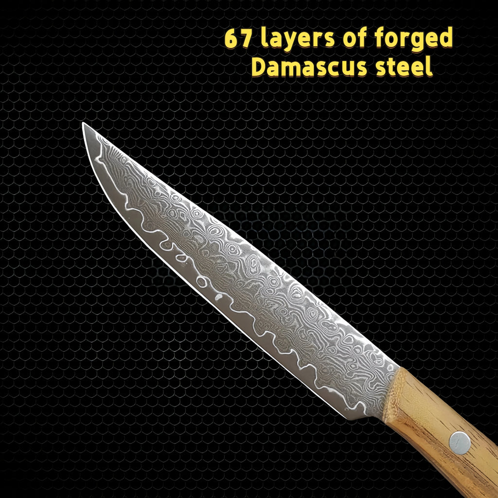 4-Inch Damascus Steel Paring Knife with Wood Handle & Cover Damascus Paring Knife Axl