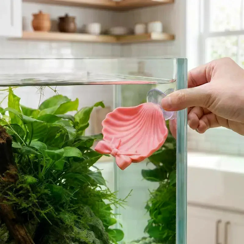 Shell-Shaped Betta Feeding Dish with Suction Cup | Fish Tank Aquarium Feeding Dish Axl