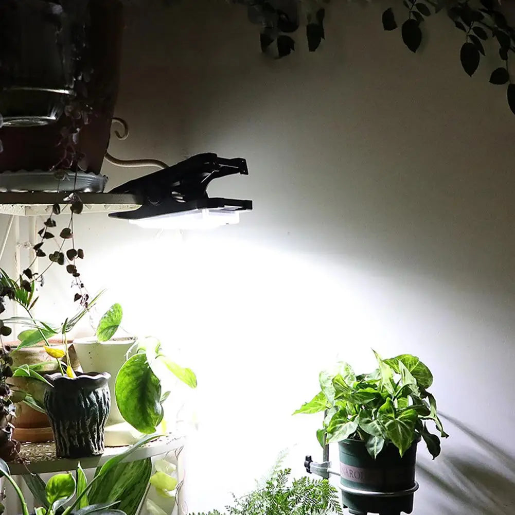 Solar Clip Light | Motion Sensor, IP65 Waterproof, 3 Modes Solar Outdoor Light Axl