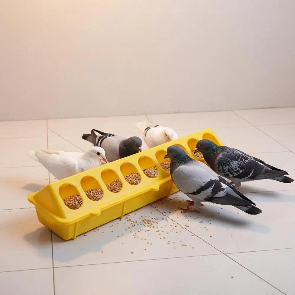 Automatic Chicken Feeder & Waterer – 16-Hole Poultry Dispenser Poultry Feeder Waterer Axl
