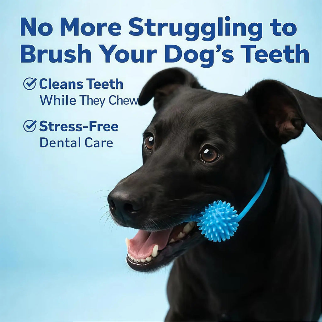 Dog Dental Chew Toy – Dual-Action Teeth Cleaning Puppy Teether Dog Dental Chew Toy Axl