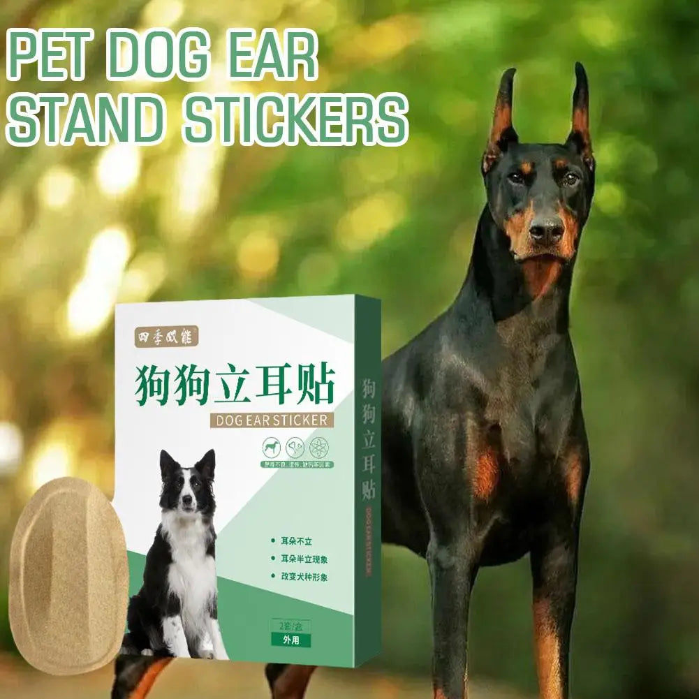 Dog Ear Stand Up Stickers – 2pc Set for Large & Small Dogs Dog Ear Stickers Axl