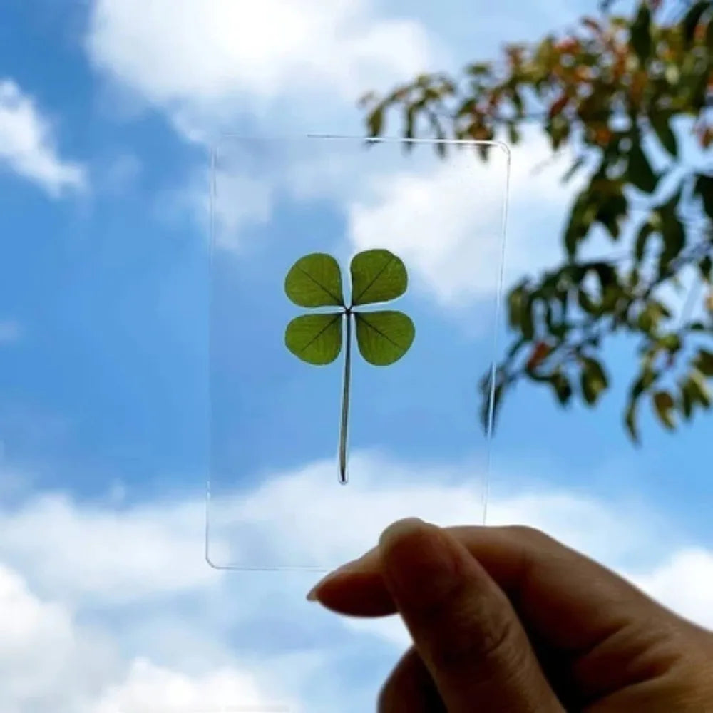 5-Pack Four-Leaf Clover Bookmarks – Waterproof Leaf Vein Decorative Bookmark Axl