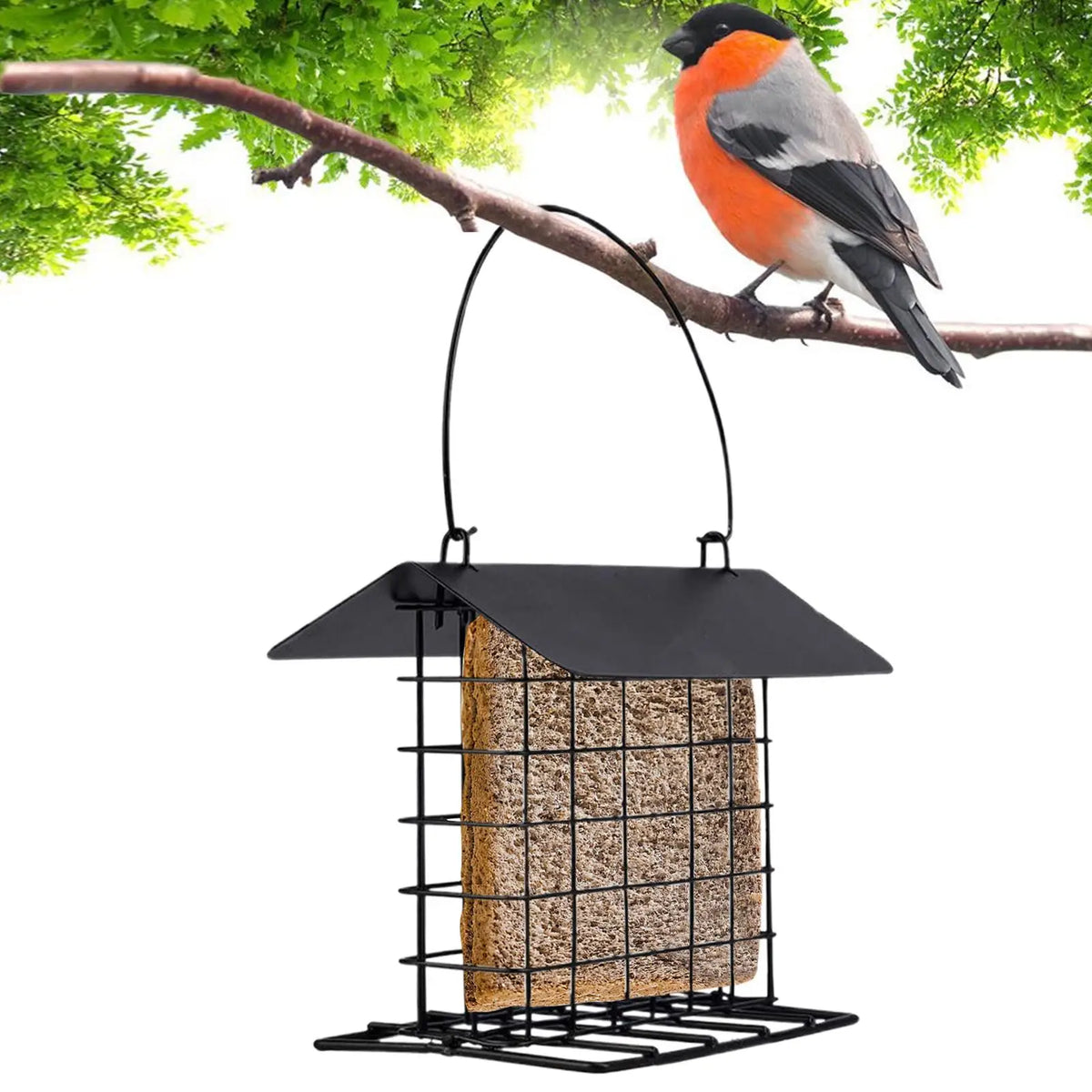 Metal Cage Suet Bird Feeder – Squirrel Proof Outdoor Station Suet Bird Feeder Axl