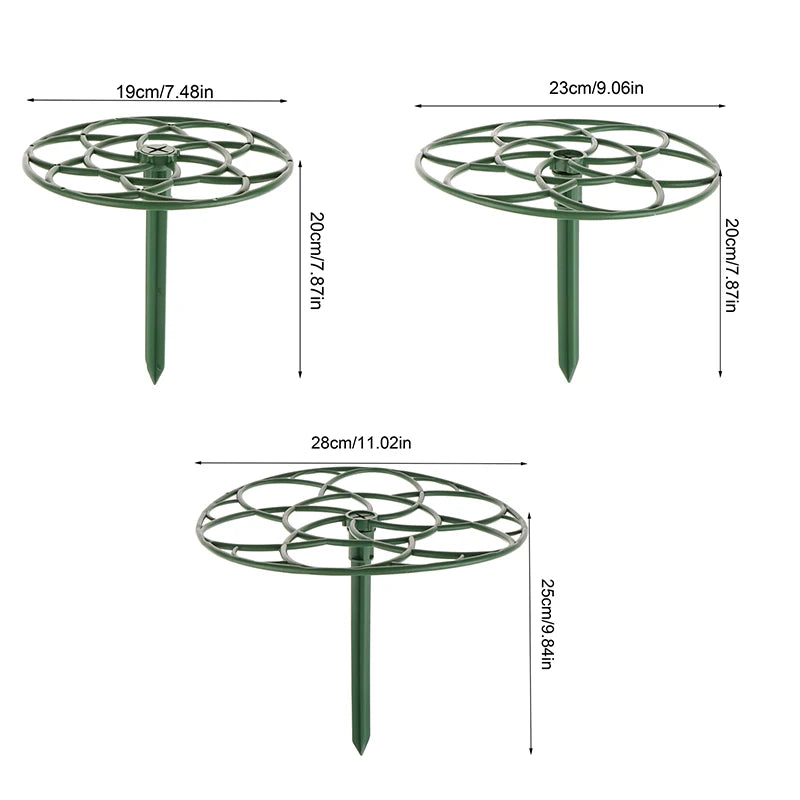Stackable Plant Climbing Frame – Bonsai & Vine Support Cage Plant Support Frame Axl