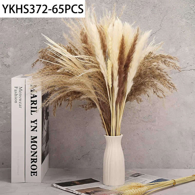 Natural Dried Pampas Grass & Bunny Tails Boho Bouquet Dried Flower Bouquet Axl 65PCS 1