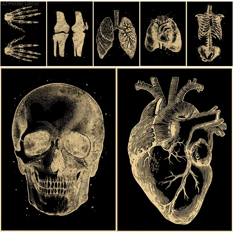 Vintage Anatomy Chalkboard Poster – Skull & Skeleton Wall Art Wall Art Poster Axl