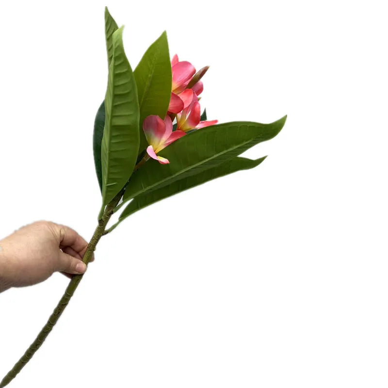 Artificial Plumeria Frangipani Flower Branch | Real Touch Leaves Artificial Flower Branch Axl
