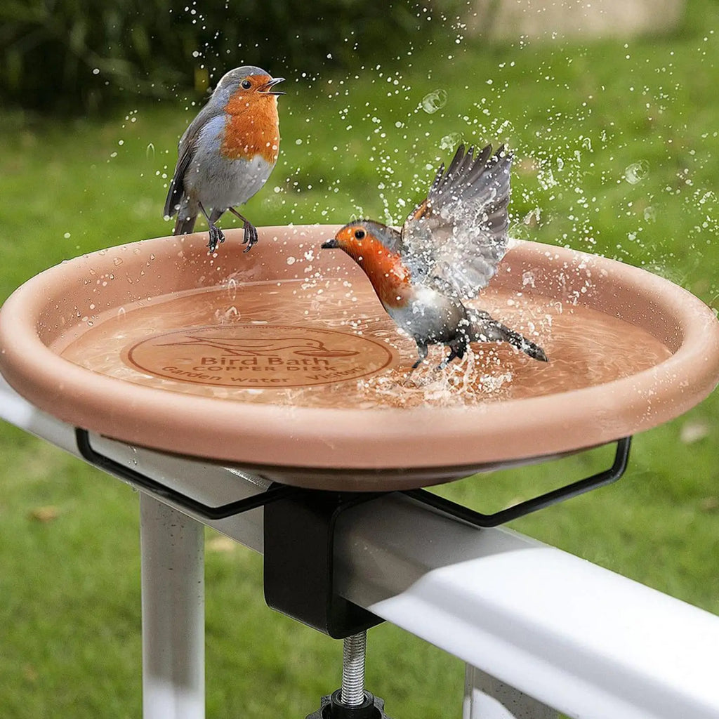 Copper Bird Bath Purifier Disk – Triple-Point Support Cleaner Bird Bath Accessory Axl