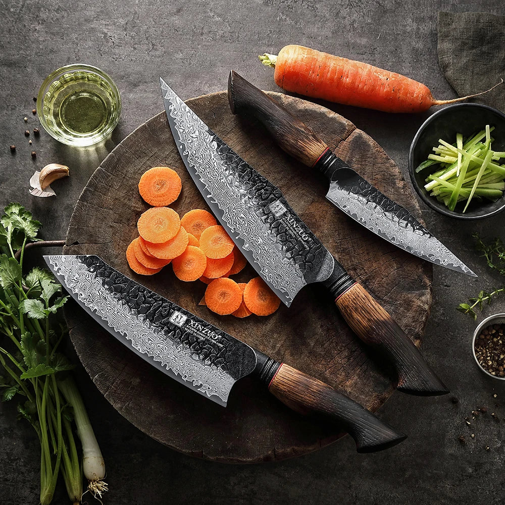XINZUO 3-Pc 67-Layer Damascus Knife Set – Mo Series Damascus Knife Set Axl