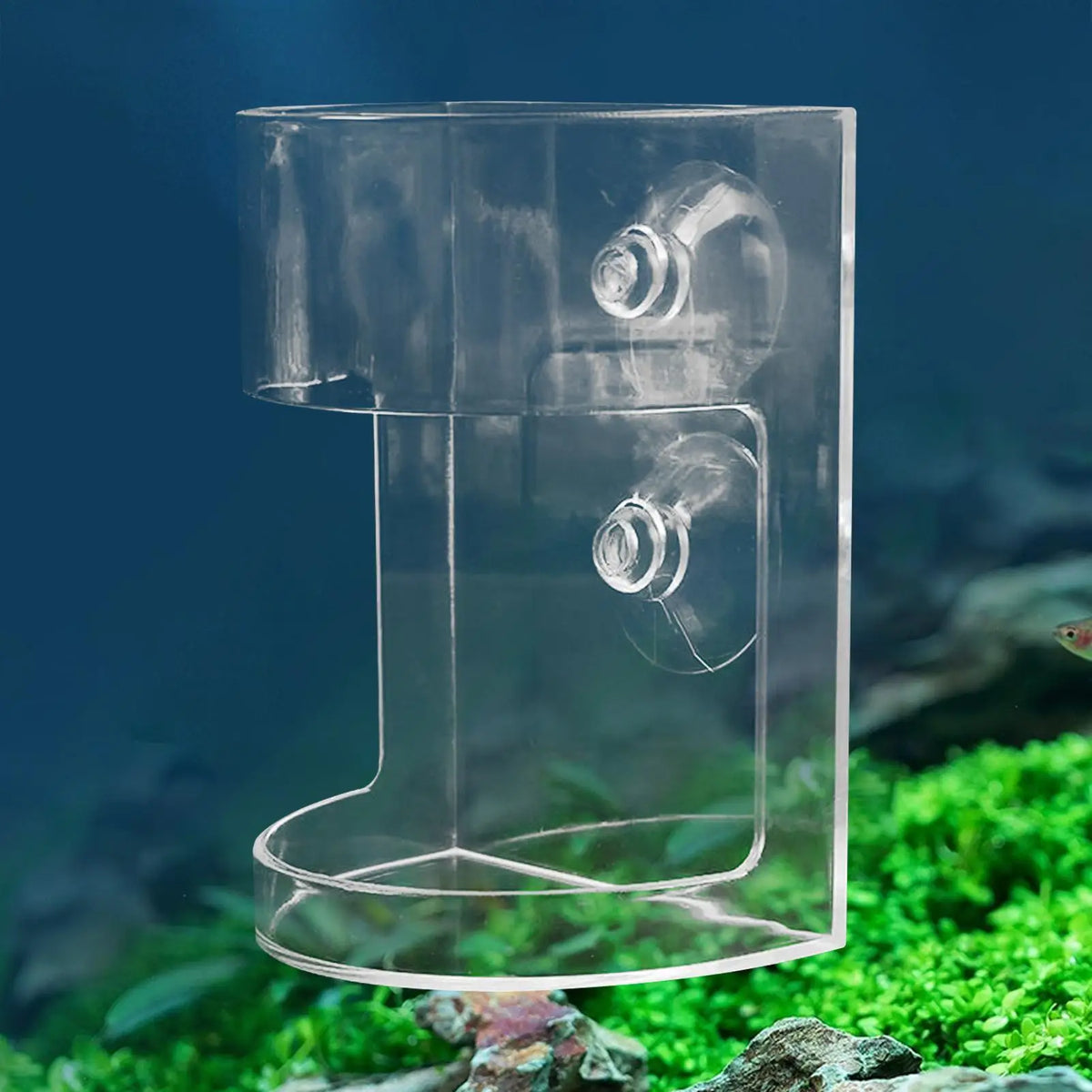Large Capacity Shrimp Feeding Dish | Clear Aquarium Fish Feeder Aquarium Fish Feeder Axl