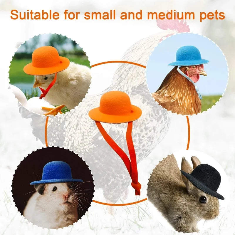 Chicken Hat for Hens & Small Pets – Adjustable Costume Top Hat Pet Costume Hat Axl