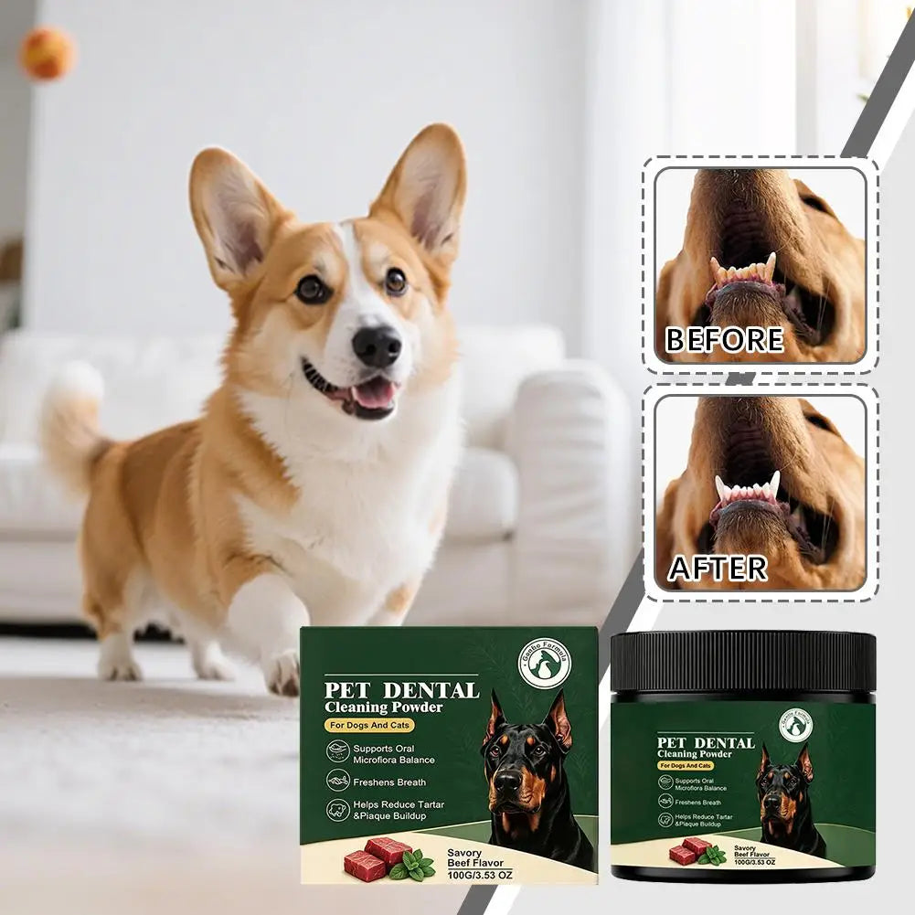 Pet Dental Powder for Dogs & Cats – Beef Flavor, 100g Pet Dental Powder Axl