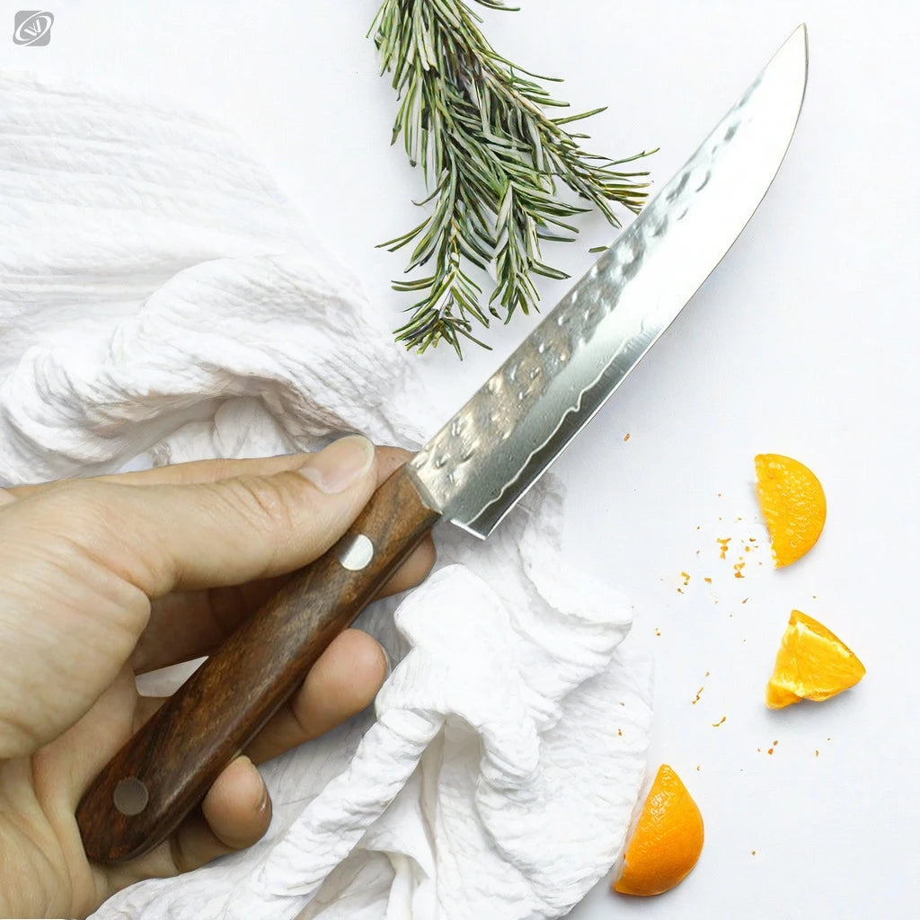 67-Layer Damascus Steel Fruit Knife – Sharp, Solid Wood Handle Damascus Kitchen Knife Axl