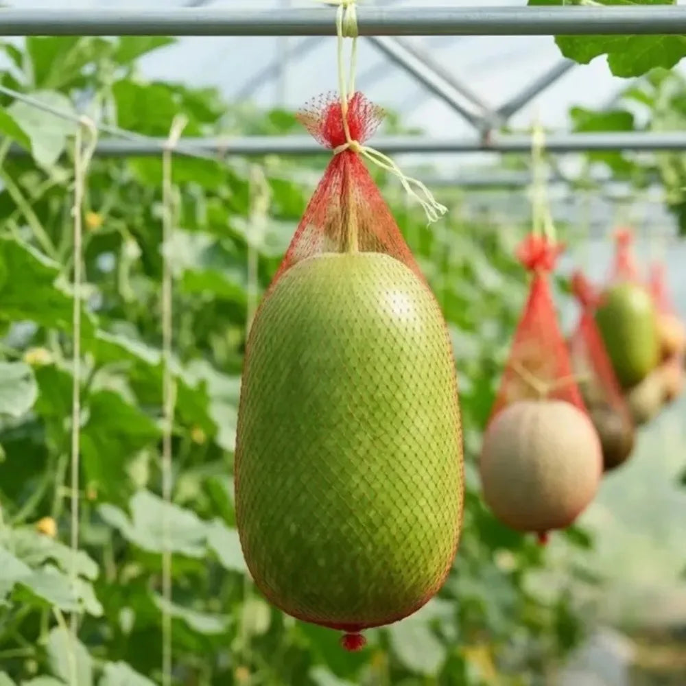 100 Pcs Fruit Hanging Net Bags – Melon, Pumpkin & Watermelon Fruit Support Nets Axl