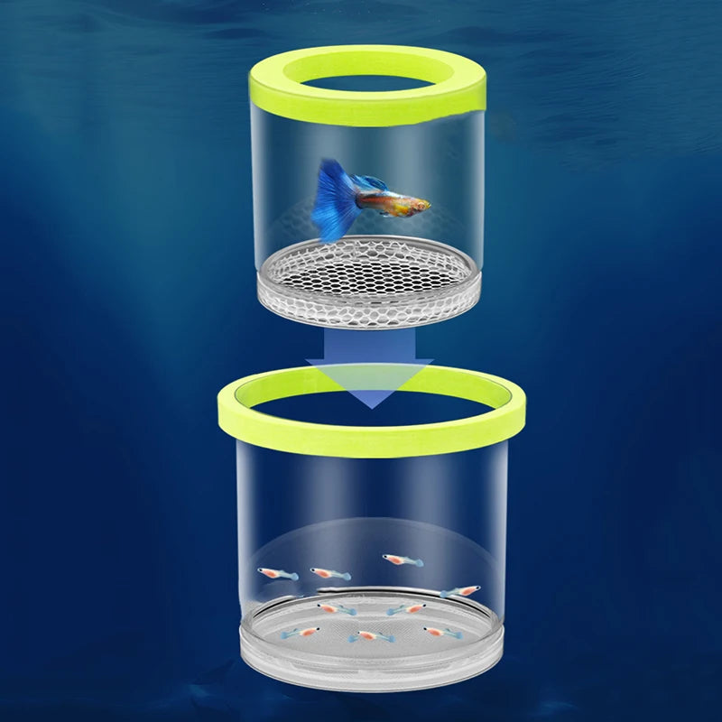 Floating Fish Breeding Box – Nursery for Guppy & Betta Fry Fish Breeding Box Axl