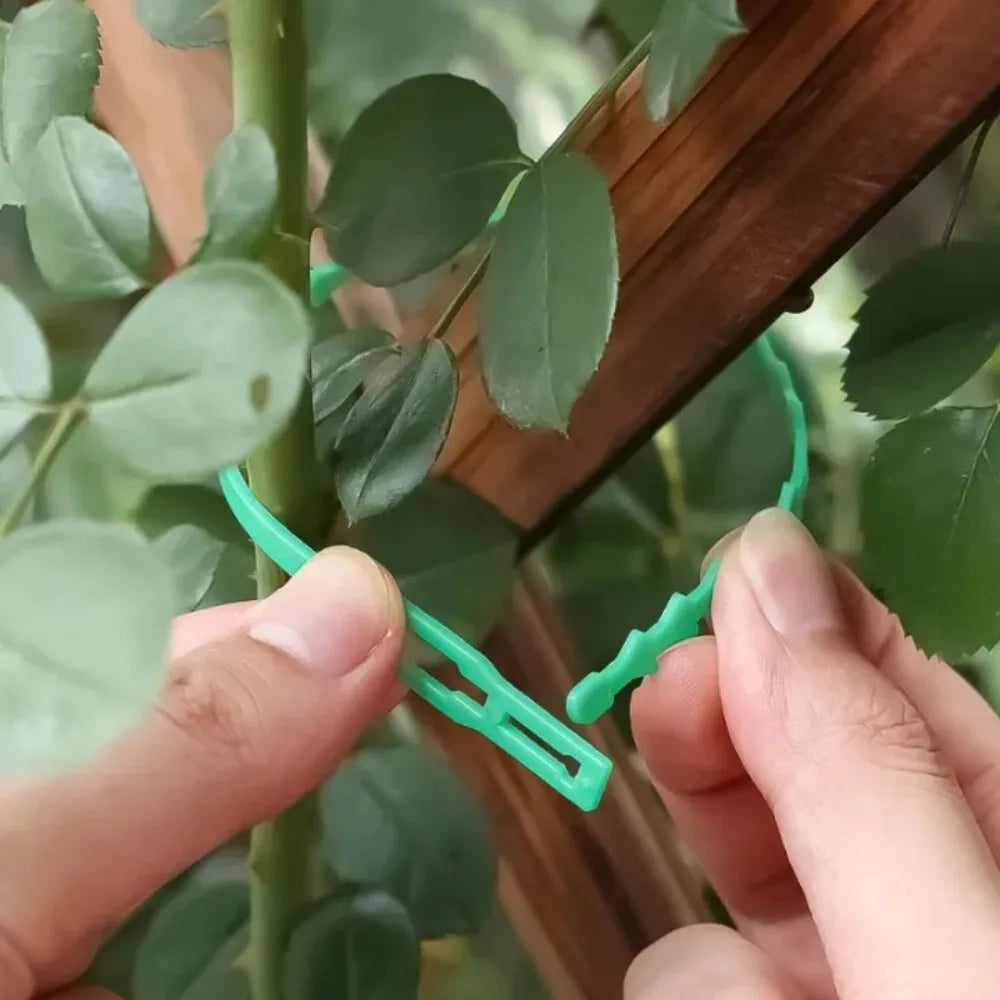 30pc Reusable Plant Twist Ties – Adjustable Stem Support Garden Twist Ties Axl