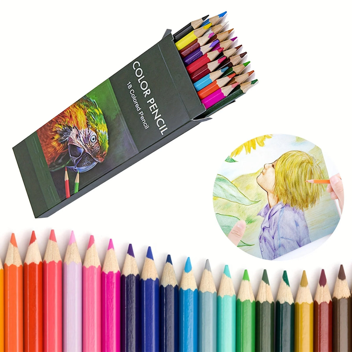 Professional Color Pencil Set for Drawing, Sketching & Coloring Color Pencil Set Axl