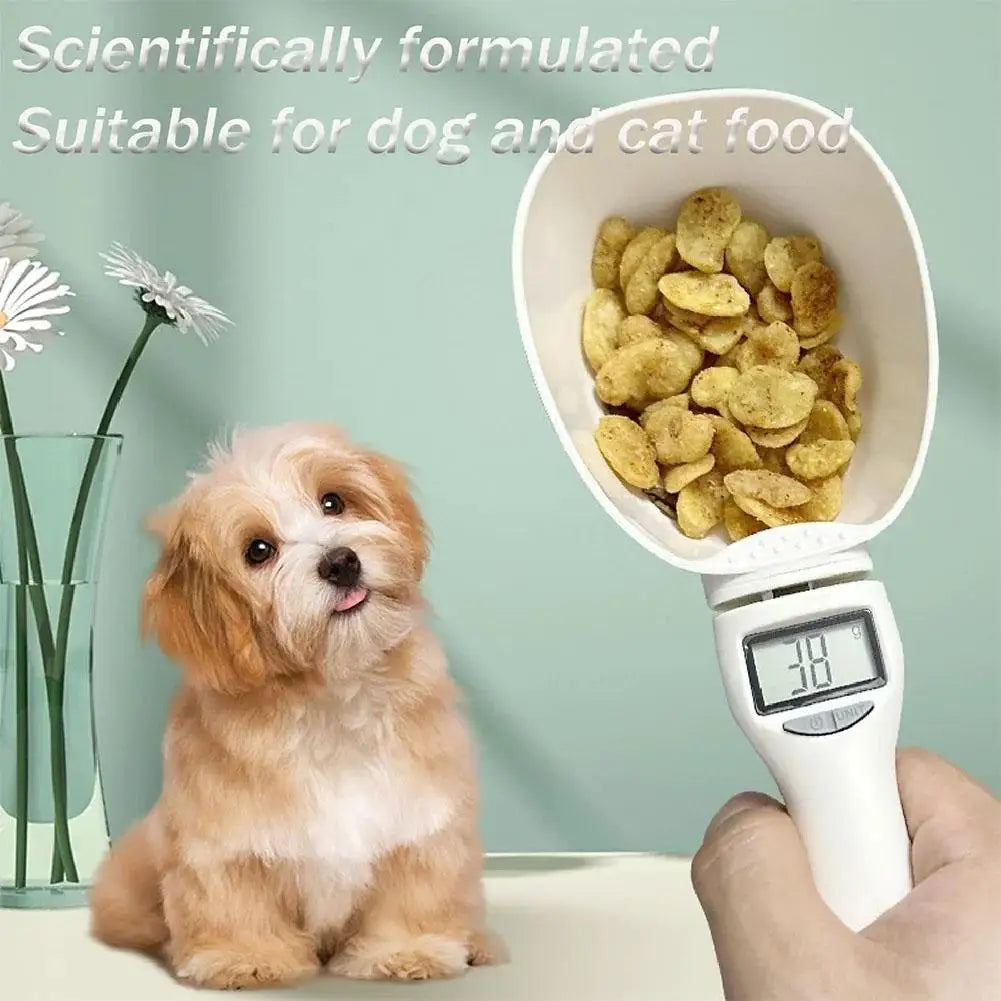 Digital Measuring Spoon Scale – 800g Kitchen Baking Scale Digital Kitchen Scale Axl