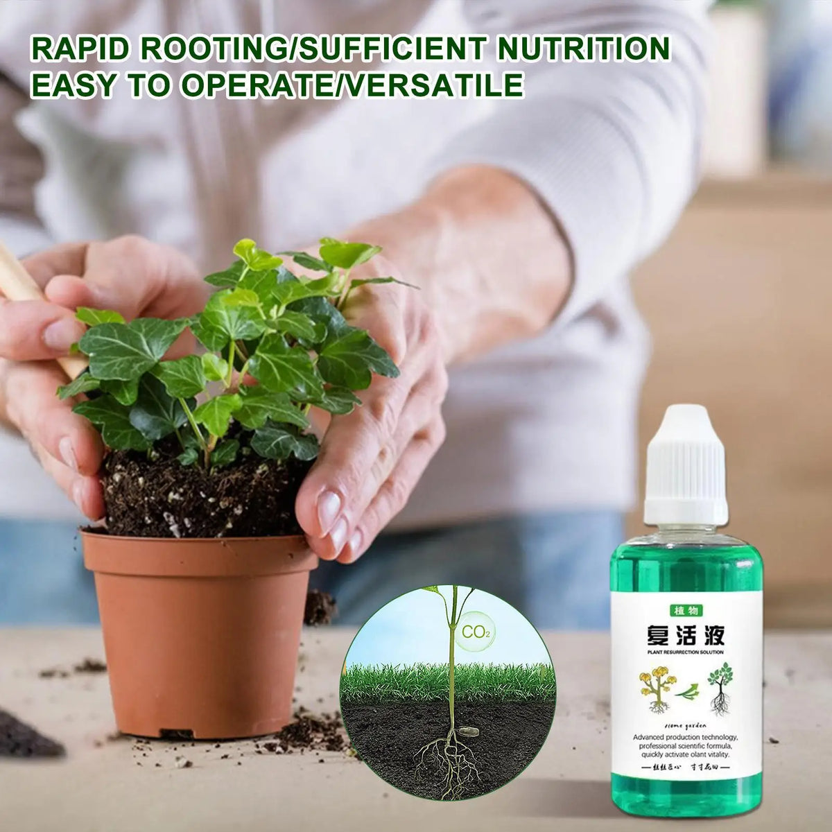 Plant Root Booster Liquid 50ml – Fast Growth Nutrient Solution Plant Root Fertilizer Axl
