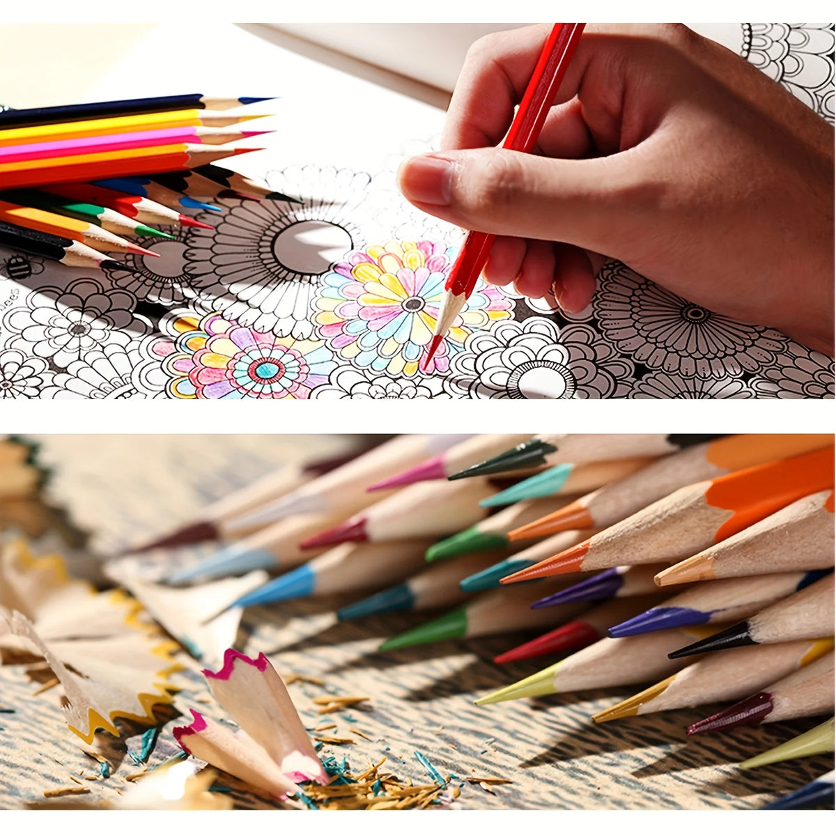 Professional Color Pencil Set for Drawing, Sketching & Coloring Color Pencil Set Axl