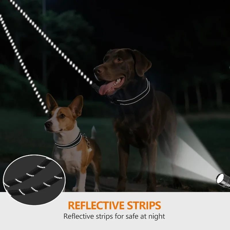 30-Inch 2-Way Dog Lead Splitter – No-Tangle Double Dog Leash Dog Leash Coupler Axl